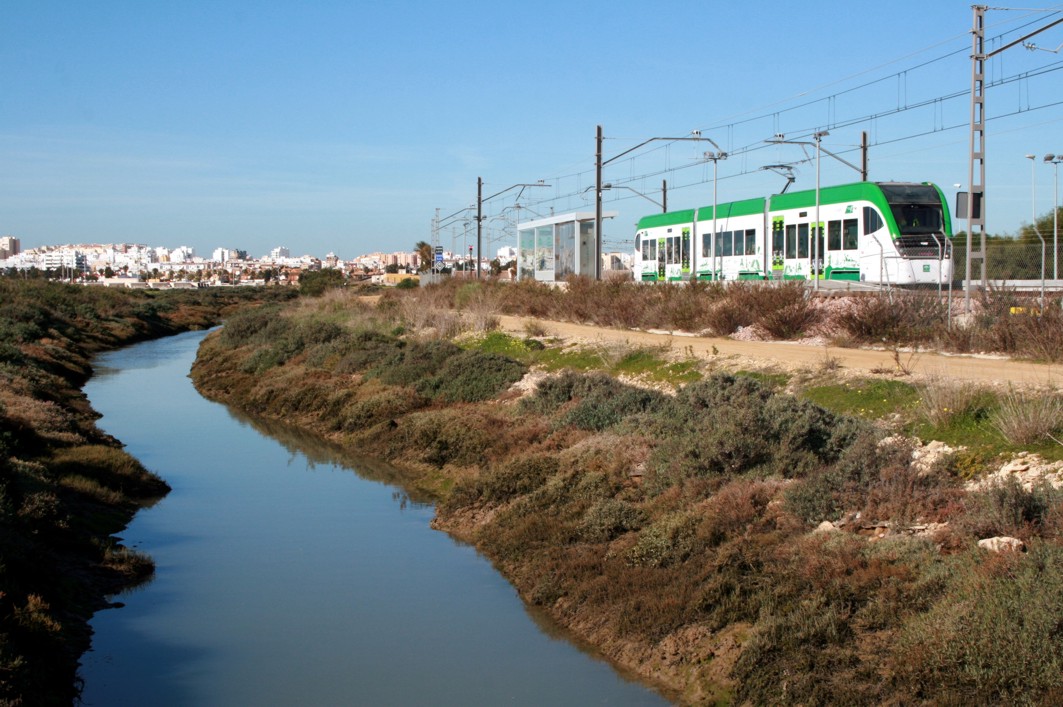 Tren Tranvía Cádiz