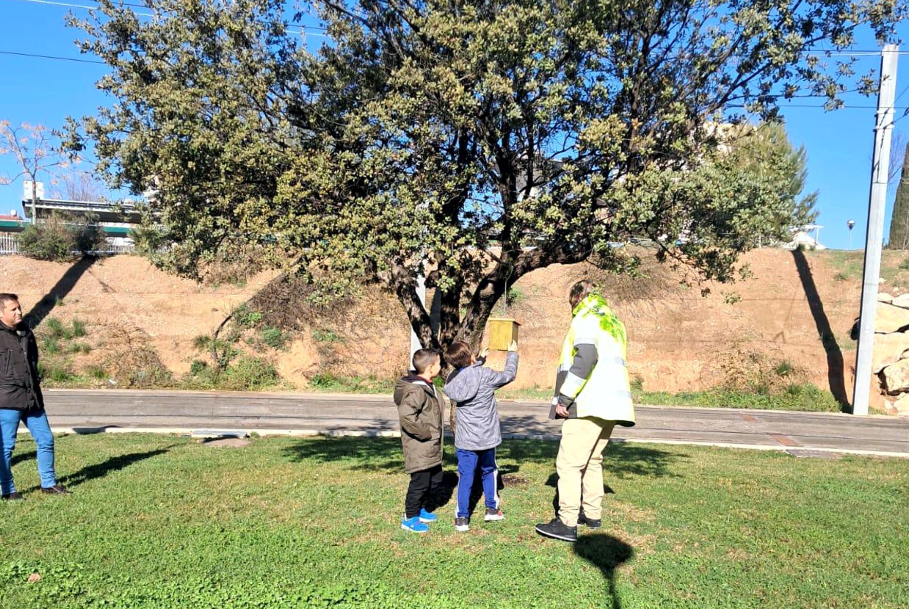 Infraestructuras y Movilidad