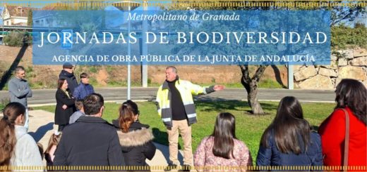 Infraestructuras y Movilidad