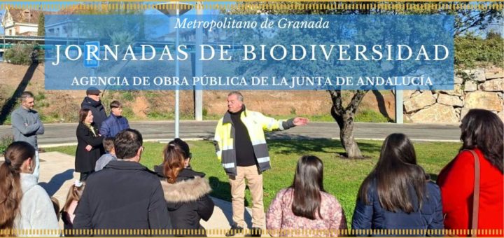 Infraestructuras y Movilidad